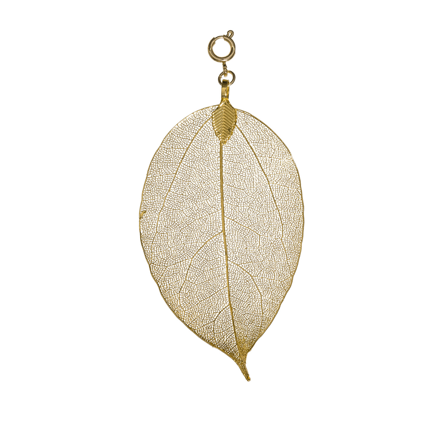 Blumenkind Blatt, Gold, Blätter | Blumenkind Schmuck